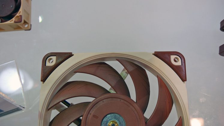 Noctua