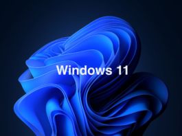 Microsoft Windows 11 Windows 10